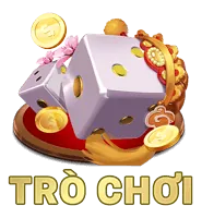 Quy tắc và điều khoản cá cược